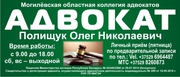 Адвокат в Могилеве Полищук О.Н.,  юридическая помощь,  защита